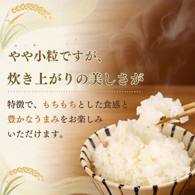 【令和8年産】精米「ミネアサヒ」5kg