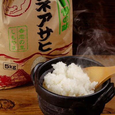 【令和8年産】精米「ミネアサヒ」5kg
