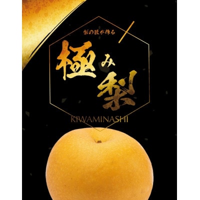 樹上完熟【幸水梨】【あきづき梨】大玉12～14玉入り(8月下旬より順次発送)