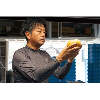 樹上完熟【幸水梨】【あきづき梨】大玉12～14玉入り(8月下旬より順次発送)