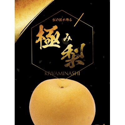 樹上完熟【幸水梨】【あきづき梨】大玉7～8玉入り(8月下旬より順次発送)