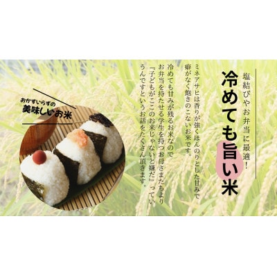 山間地限定!希少米峰旭　5kg×2袋