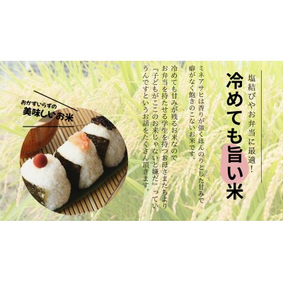 真空パック　山間地限定!希少米峰旭2kg×3個