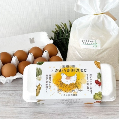おいしい新鮮たまご2パック(20個)&愛知県産おいしいブランド米(2kg)セット