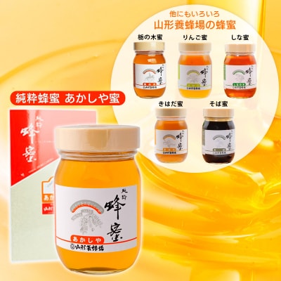 純粋蜂蜜 あかしや蜂蜜 500g FZ19-991