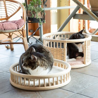 [nejiro]ネコハウス  【山形エクセレントデザイン賞受賞】FZ25-978