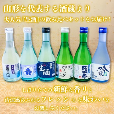 大人気『生酒』飲み比べセット 12本セット FZ21-453