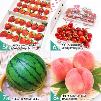 【定期便12回】山形のおいしいものを贅沢に!1年定期便 | 産地直送 旬 FZ25-826