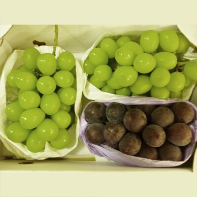 山形のぶどう シャインマスカット&ピオーネ 秀品 約1.7kg(2～5房程度) FS23-752