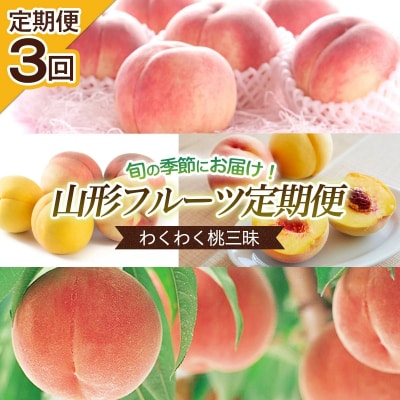 【定期便3回】旬の時期にお届け!わくわく桃三昧定期便 FU22-744