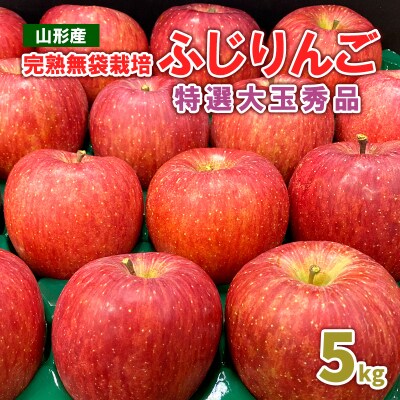 完熟無袋栽培ふじりんご 特選大玉秀品5kg入り【令和8年産】FS25-762