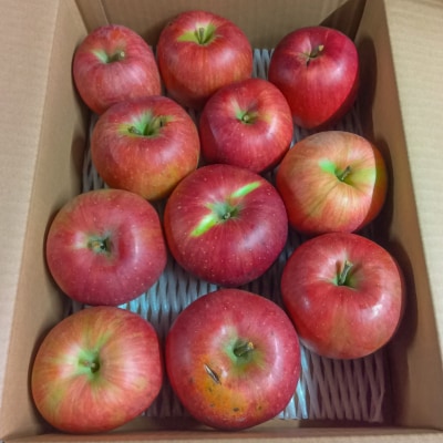 [家庭用]山形産 りんご(サンふじ) 3kg(11月1日～11月30日頃) FZ23-597