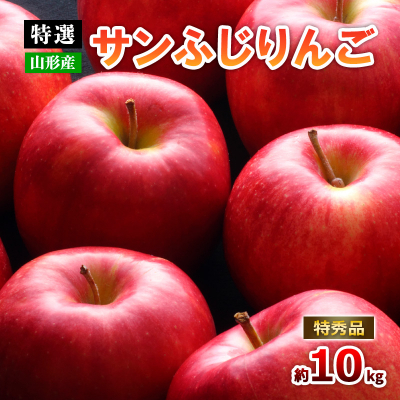 【特選】山形のサンふじりんご 約10kg 特秀品(20～50玉) FZ19-141