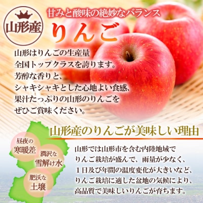 【特選】山形のサンふじりんご 約10kg 特秀品(20～50玉) FZ19-141