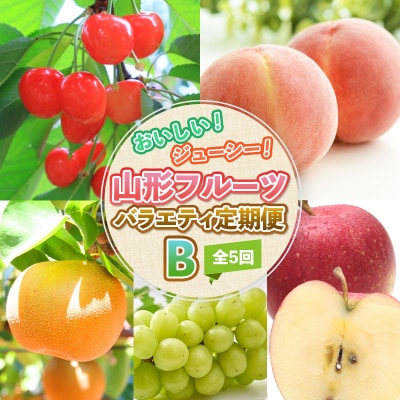 【定期便5回】おいしい!ジューシー!山形フルーツバラエティ定期便B  FZ25-821