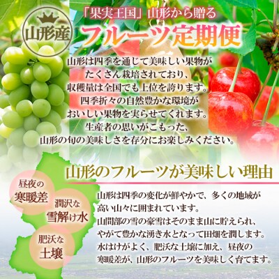 【定期便5回】おいしい!ジューシー!山形フルーツ バラエティ定期便 FZ25-821