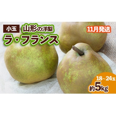 山形の洋梨 ラフランス 優品 約5kg (小玉2L～M/18～24玉) FZ23-653