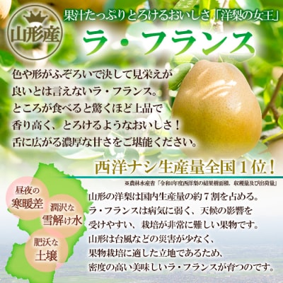 山形市産 大玉ラ・フランス 秀 以上 5kg (12・14・16玉) FZ20-501