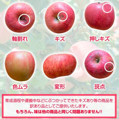 【家庭用】山形のりんご サンふじ 約10kg(20～40個) FY25-830