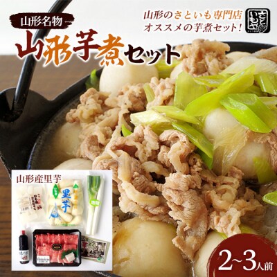 山形名物 山形芋煮セット 2～3人前(山形産里芋)  FZ18-993