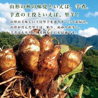 農薬不使用 自然農法 山形特産 土付里芋 5kg!(さといもやのおすすめ品) FZ23-135