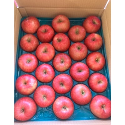 山形市産 こうとくりんご 5kg  FZ20-521