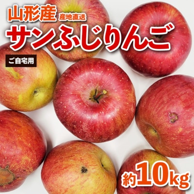 【ご自宅用】山形産サンふじりんご　約10kg(26～56玉) FZ26-746