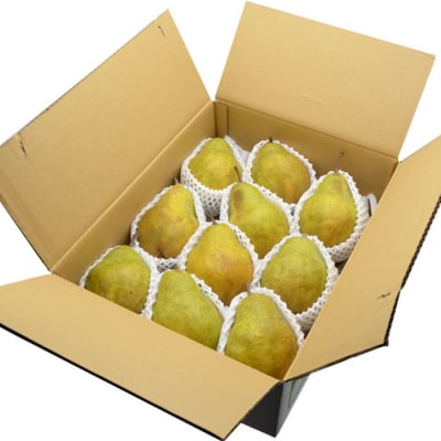 山形の洋梨 シルバーベル 秀品 約5kg(6～20玉) FZ23-312