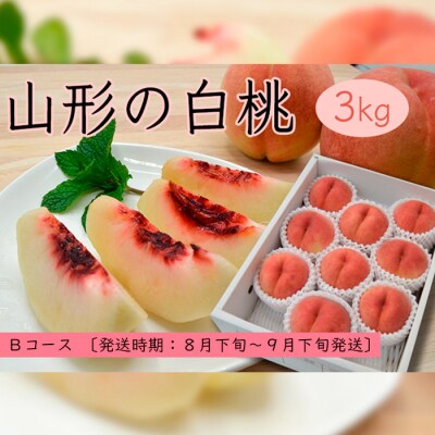 山形の白桃3kg(5～13玉)Bコース[柔らかくなる桃・果肉やや硬] 【令和8年産】FS25-632