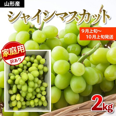 【ご家庭用】シャインマスカット 2kg入り 1箱 [前半] 【令和8年産】FU19-485