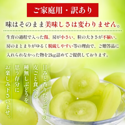 【ご家庭用】シャインマスカット 2kg入り 1箱 [前半] 【令和8年産】FU19-485
