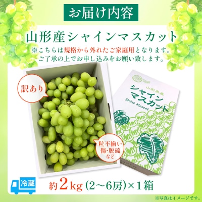 【ご家庭用】シャインマスカット 2kg入り 1箱 [前半] 【令和8年産】FU19-485