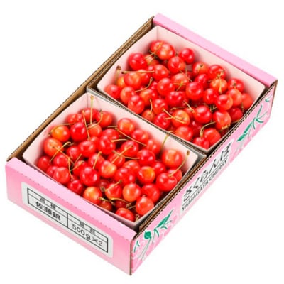 山形市産さくらんぼ 佐藤錦 L以上 1kg(500g×2)バラ詰め 【令和8年産】FS24-622