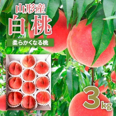 山形市産 桃 秀3kg(5～13玉)[柔らかくなる桃] 【令和8年産】FU20-062