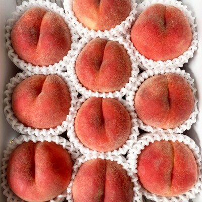 山形市産 桃 秀3kg(5～13玉)[柔らかくなる桃] 【令和8年産】FU20-062