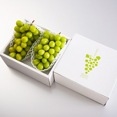  山形市産 シャインマスカット 秀 1kg以上(2房)[前半] 【令和8年産】FU22-083