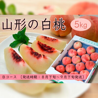 白桃 5kg(10~16玉)Bコース(柔らかくなる桃・果肉やや硬) 【令和8年産】FS24-566