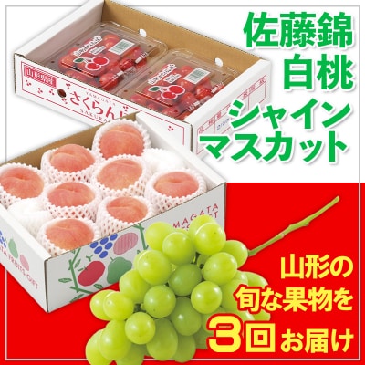 【定期便3回】☆フルーツ王国山形☆佐藤錦・白桃・シャイン【令和8年産】FS25-673