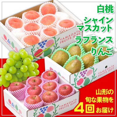 【定期便4回】☆フルーツ王国山形☆白桃・シャイン・ラフランス・りんご 【令和8年産】FS24-773