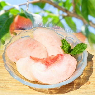 山形の硬い桃 秀品 約5kg [固い桃] 【令和8年産】FS25-634