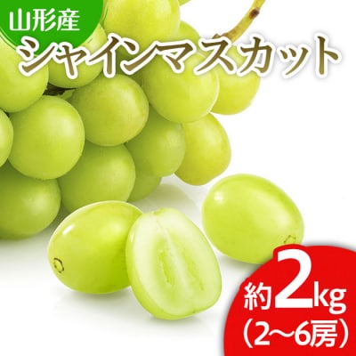 山形市産 シャインマスカット 秀 2kg(2～6房)[前半] 【令和8年産】FS24-659