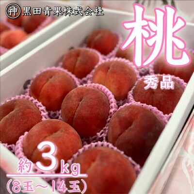 山形産 白桃 秀 3kg(8玉～14玉) 【令和8年産】FU23-315