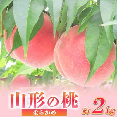 山形の桃 [柔らかめ] 約2kg(4～9玉) 【令和8年産】FS24-661