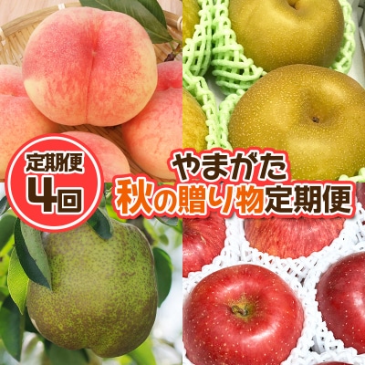 【定期便4回】やまがた 秋の贈り物定期便【令和8年産】FU23-877