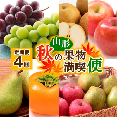 【定期便4回】山形秋の果物 満喫便【令和8年産】FS24-614