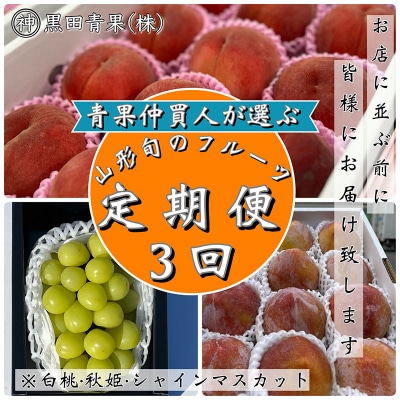 【定期便3回】青果仲買人が選ぶ!フルーツ3選![白桃・秋姫・シャイン]【令和8年産】FS24-599