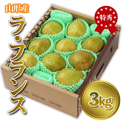 山形産 「ラ・フランス」 特秀品 3kg (8～13玉)【令和8年産】 FS24-086