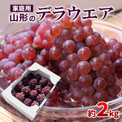 ご家庭用】山形のデラウエア M～3L 約2kg[粒サイズおまかせ]【令和7 