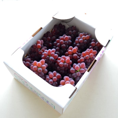 【ご家庭用】山形のデラウエア M～3L 約2kg[粒サイズおまかせ]【令和8年産】 FS24-137