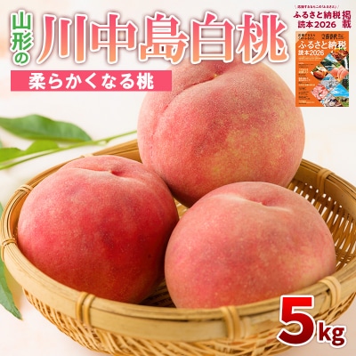 山形の川中島白桃 5kg (10～16玉) [柔らかくなる桃] 【令和8年産】FS24-565